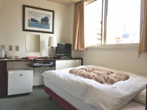 Una cama o camas en una habitación de Green Hill Hotel Tennoji Ekimae