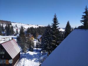 Apartment Durmitor v zimě