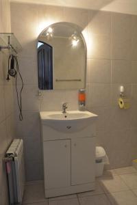 een badkamer met een witte wastafel en een spiegel bij Penzion na Zborově in Strakonice