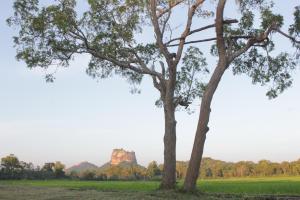 Paesaggio naturale nelle vicinanze dell'affittacamere