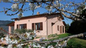 dom z kwitnącym drzewem przed nim w obiekcie Alta Perugia B&B w mieście Perugia