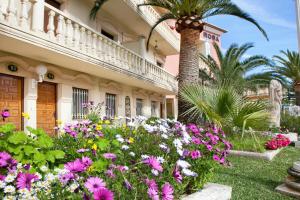 Zahrada ubytování Hotel Rosa