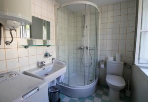 a bathroom with a sink and a shower and a toilet at Bargujac Summer House in Vis +30 photos