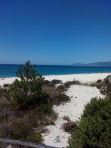 a view of a beach with a pine tree on it at Troia Casas da duna in Troia
