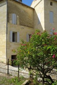 um edifício com uma árvore em frente em 12 Rue des Ecoles em Saint-Émilion