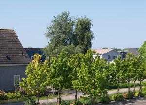 Afbeelding uit fotogalerij van The Studio Guesthouse in Volendam