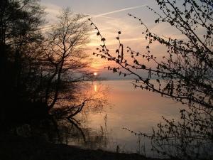 a sunset over the water with birds on a tree branch at Hohwachter Hof in Hohwacht