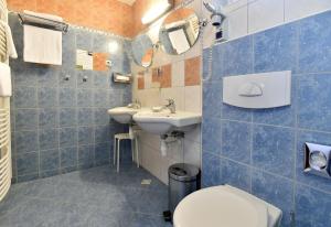 Bilik mandi di Hotel Břízky