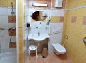 Bilik mandi di Hotel Břízky