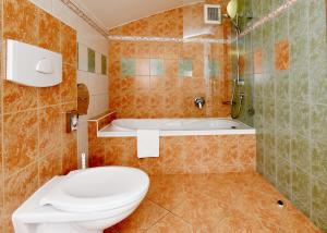 Bilik mandi di Hotel Břízky