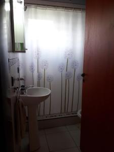 baño con lavabo y cortina de ducha con dientes de león en Samana Holiday, en Carpintería