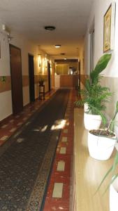 Vstupní hala nebo recepce v ubytování Hotel Olimpijski