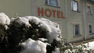 un arbusto cubierto de nieve frente a un hotel en Hotel Olimpijski en Tarnowskie Góry