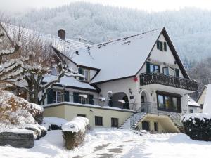 Landgasthof Grüner Baum durante el invierno