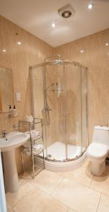 a bathroom with a shower and a toilet and a sink at Ballas Farm Country Guest House in Bridgend
