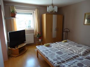 Televízia a/alebo spoločenská miestnosť v ubytovaní Herkules apartman