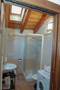 a bathroom with a shower and a sink and a washing machine at La Maison De Deni in Aymavilles