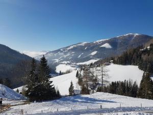 Príroda v okolí apartmánu