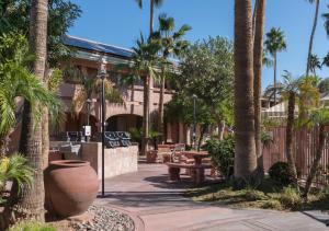 Afbeelding uit fotogalerij van La Fuente Inn & Suites in Yuma