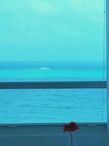 a view of the ocean from a window with a red flower at L&D Vacations Rentals in Miami Beach