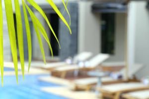 Bazén v ubytování The Palms Denarau Fiji nebo v jeho okolí