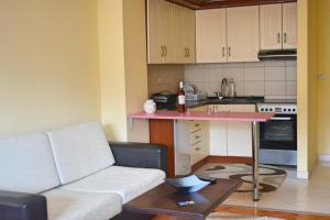 Kuchyň nebo kuchyňský kout v ubytování George 59 Apartment + 3 fotografie