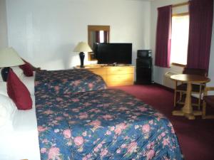 um quarto de hotel com uma cama e uma televisão de ecrã plano em Villager Motel & Glen Manor Estate em Watkins Glen