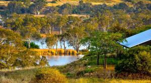 a view of a lake with trees and a building at Riverview Rise Retreats in Mannum