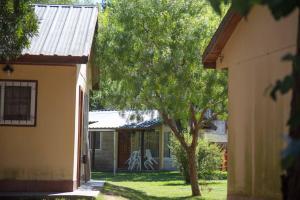 une maison avec un arbre dans la cour dans l'établissement La Posada del Mar, à Miramar