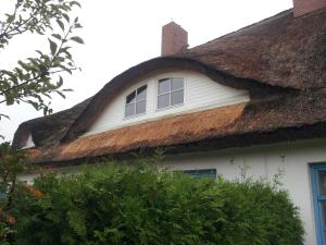 a thatched roof of a house with two windows at Reethaus Zickersche Berge - Apt. 01 in Gager