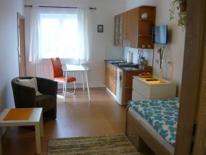 a small kitchen and living room with a couch and a table at Apartments - Penzion Lena in Hradec Králové