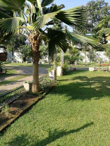Zahrada ubytování Holiday Home