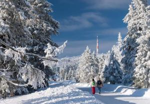 ブラウンラーゲにあるFerienwohnung Arnika inklusive Wäschepaketの雪に覆われた木道を二人歩く
