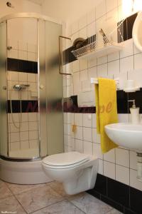 a bathroom with a toilet and a sink and a shower at Bursztynek in Gdynia