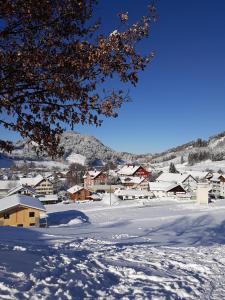 eine kleine Stadt voller Schnee mit Häusern in der Unterkunft Haus Ritter in Missen-Wilhams