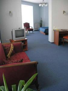 TV a/nebo společenská místnost v ubytování Hotel European
