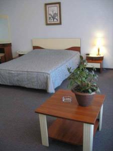 una camera d'albergo con un letto e una pianta in vaso su un tavolo di Hotel European a Dnipro