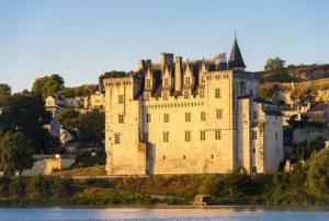 Photo de la galerie de l'établissement Le Petit Hureau, à Saumur