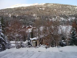 Appartement l'Aiglon during the winter