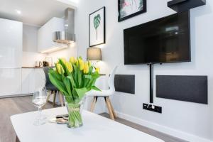 TV/trung tâm giải trí tại Elite Apartments SPA Zone