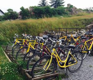 a bunch of bikes parked next to each other at Badepensionat Sandloppen in Sandvig