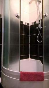 Phòng tắm tại Apartman Vesna