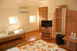 a living room with a bed and a television in it at Pensiunea Rodica in Nădlac