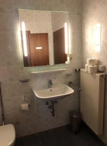 a bathroom with a sink and a toilet and a mirror at Hotel Gäubodenhof in Straubing