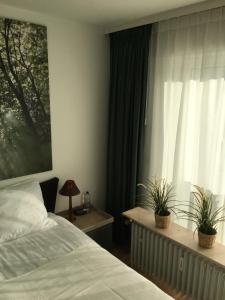 1 dormitorio con 1 cama y una ventana con 2 plantas en Apartment Gronau, en Gronau