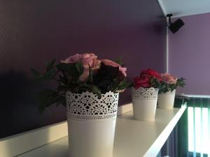 Φωτογραφία από το άλμπουμ του Le Verger B&B σε Gorron