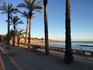 a row of palm trees and a bench on the beach at Ventallols in Tarragona