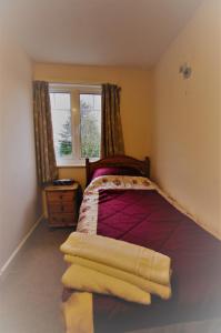 a bedroom with a bed and a window at Dove House in Cheltenham