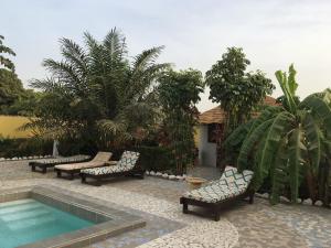Swimmingpoolen hos eller tæt på Mango Lodge Gambia