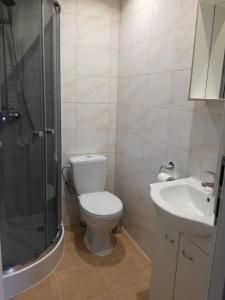 uma casa de banho com um WC, um lavatório e um chuveiro em Agroturystyka OdważnyTeam em Stronie Śląskie